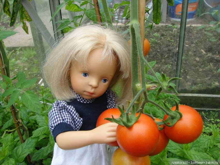 Борьба за урожай — Куклы Маша и Медведь (Simba): Маша в кармашке