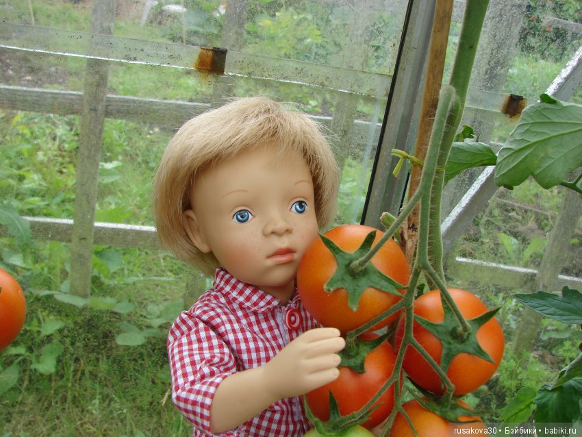 Борьба за урожай — Куклы Маша и Медведь (Simba): Маша в кармашке