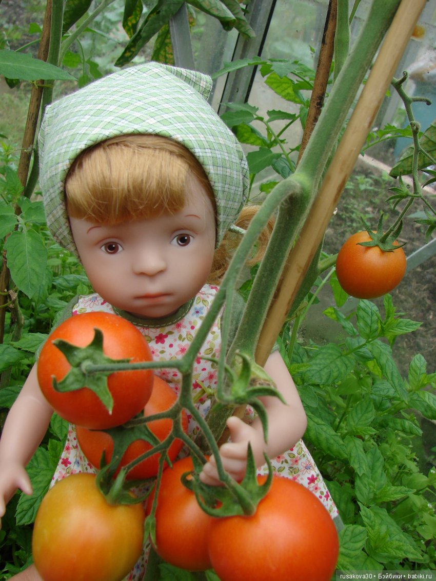 Борьба за урожай — Куклы Маша и Медведь (Simba): Маша в кармашке