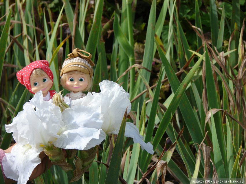 Ты сними, сними меня, фотограф (фото 9)