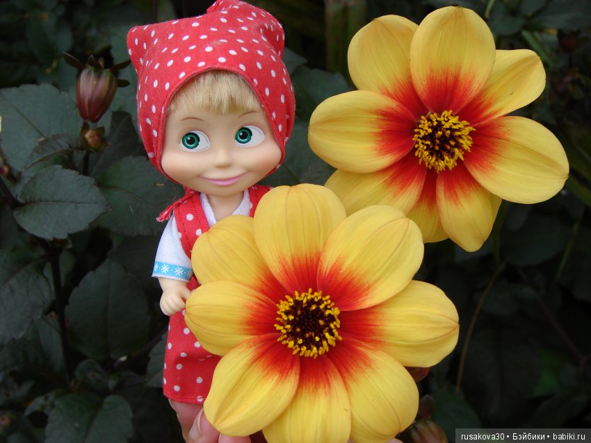 Ты сними, сними меня, фотограф (фото 2)