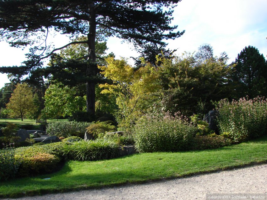 Королевские ботанические сады Кью (Kew Gardens) (фото 4)