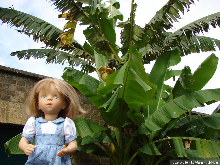 Королевские ботанические сады Кью (Kew Gardens) (фото 2)