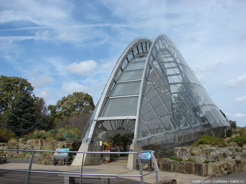 Королевские ботанические сады Кью (Kew Gardens) день второй (фото 7)