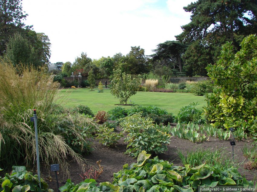 Королевские ботанические сады Кью (Kew Gardens) день второй