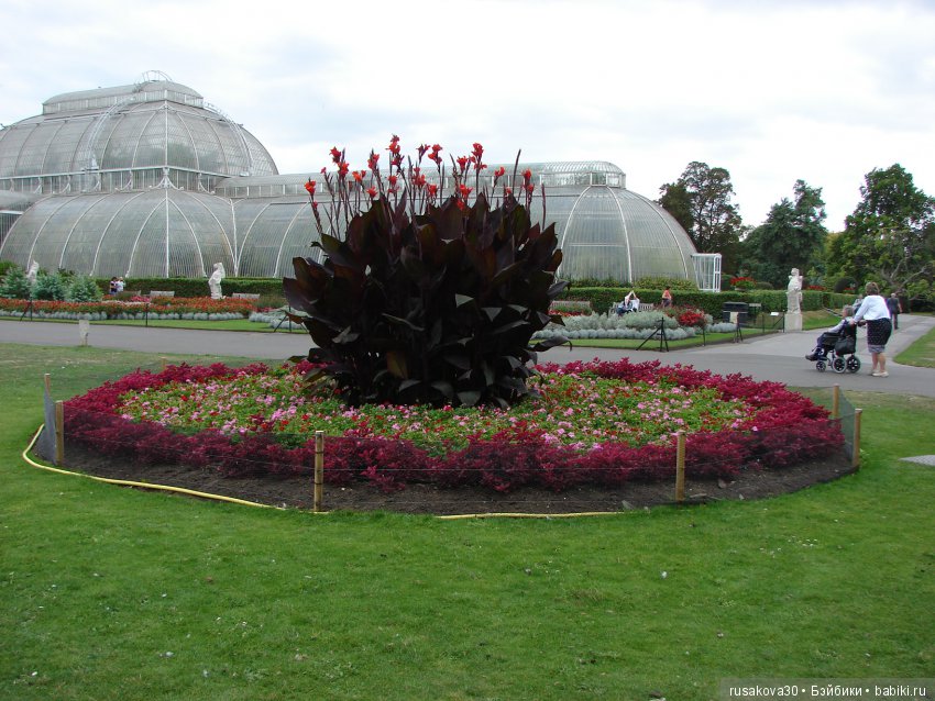 Королевские ботанические сады Кью (Kew Gardens) день второй (фото 2)