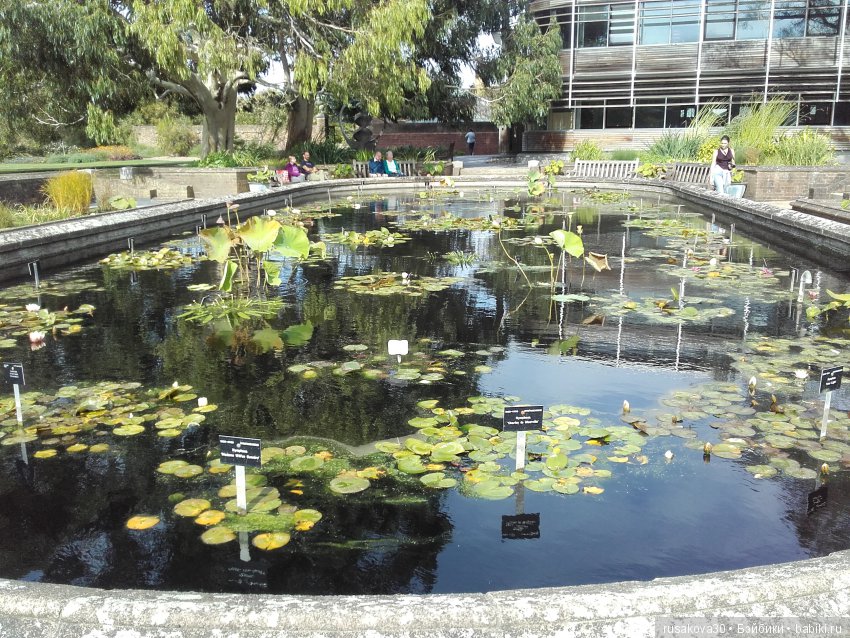 Королевские ботанические сады Кью (Kew Gardens) день второй