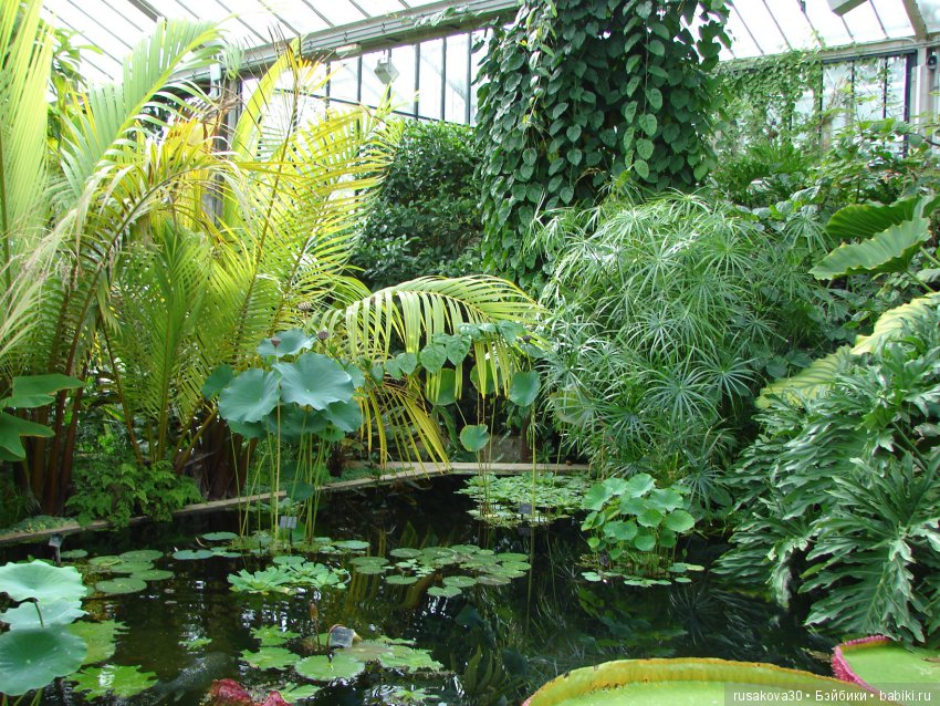 Королевские ботанические сады Кью (Kew Gardens)