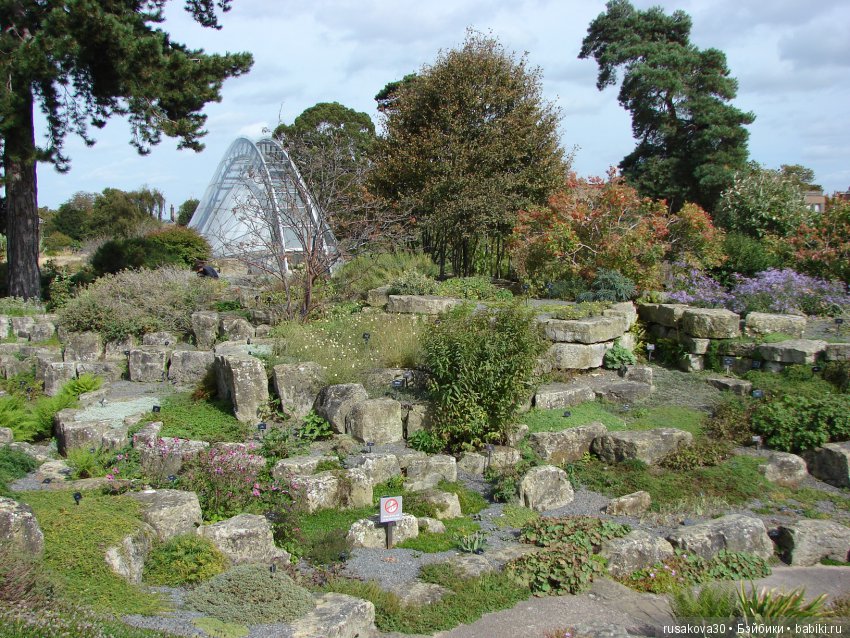 Королевские ботанические сады Кью (Kew Gardens) день второй (фото 10)
