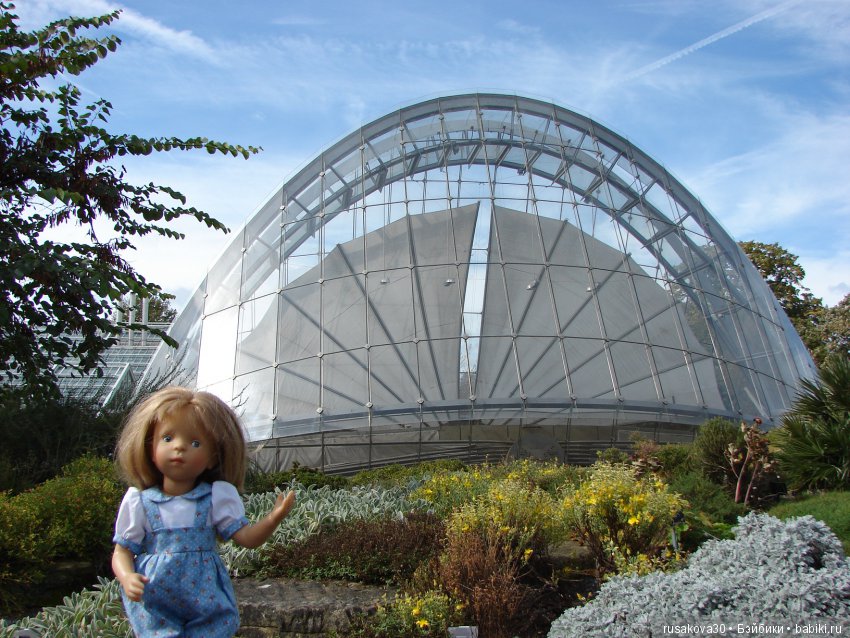 Королевские ботанические сады Кью (Kew Gardens) день второй (фото 6)