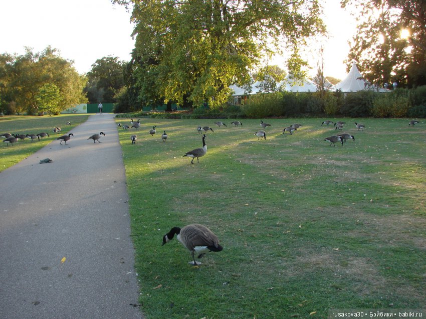Королевские ботанические сады Кью (Kew Gardens) день второй