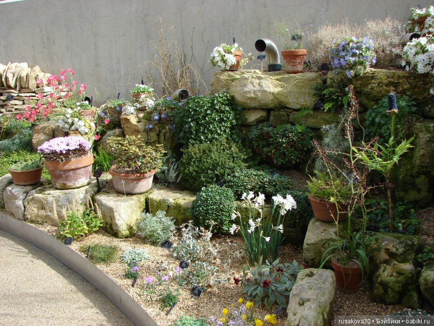 Королевские ботанические сады Кью (Kew Gardens) день второй (фото 9)