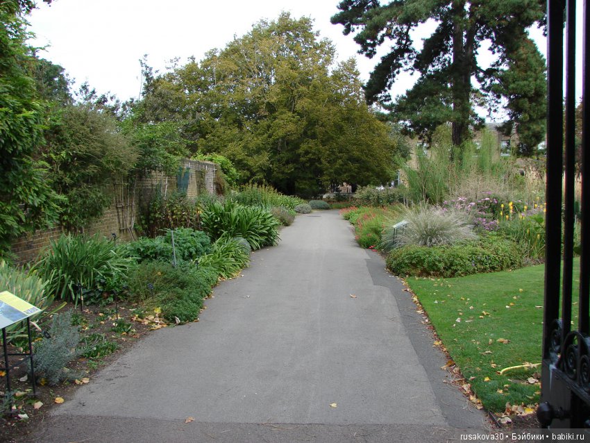 Королевские ботанические сады Кью (Kew Gardens) (фото 9)