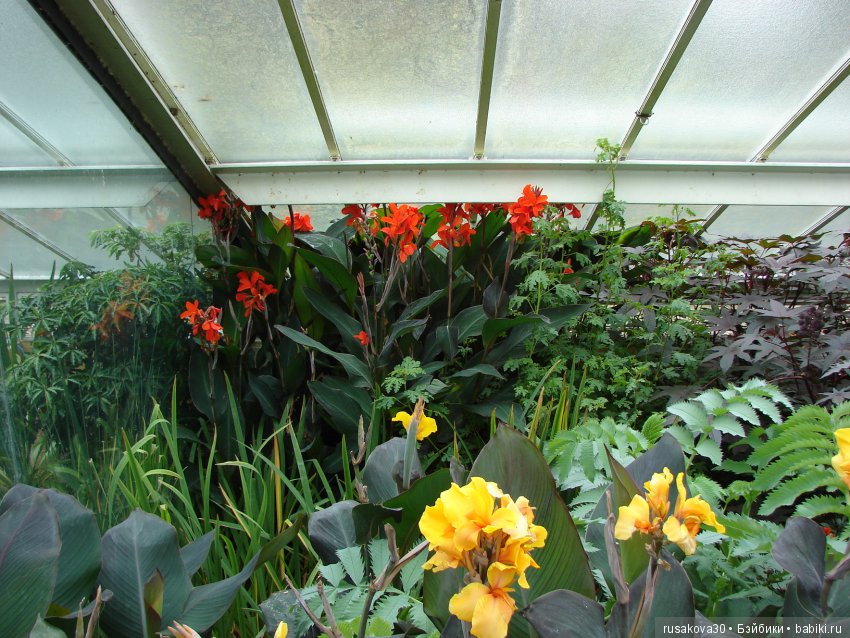 Королевские ботанические сады Кью (Kew Gardens)