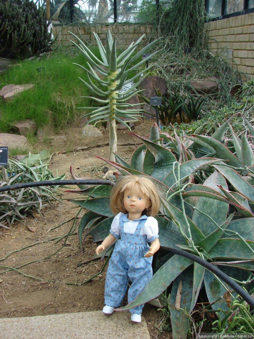 Королевские ботанические сады Кью (Kew Gardens)