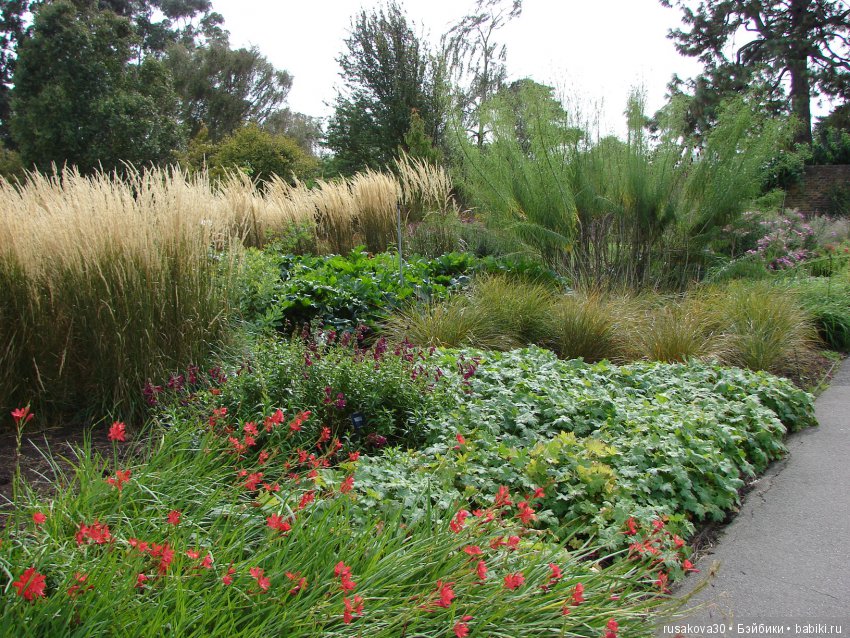 Королевские ботанические сады Кью (Kew Gardens) (фото 5)