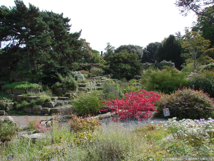 Королевские ботанические сады Кью (Kew Gardens) день второй