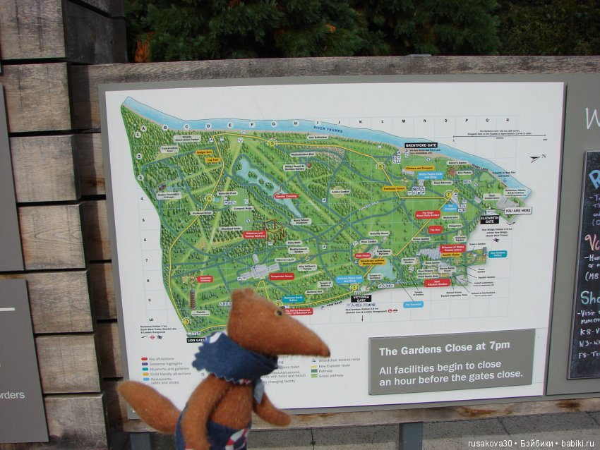 Королевские ботанические сады Кью (Kew Gardens) (фото 8)