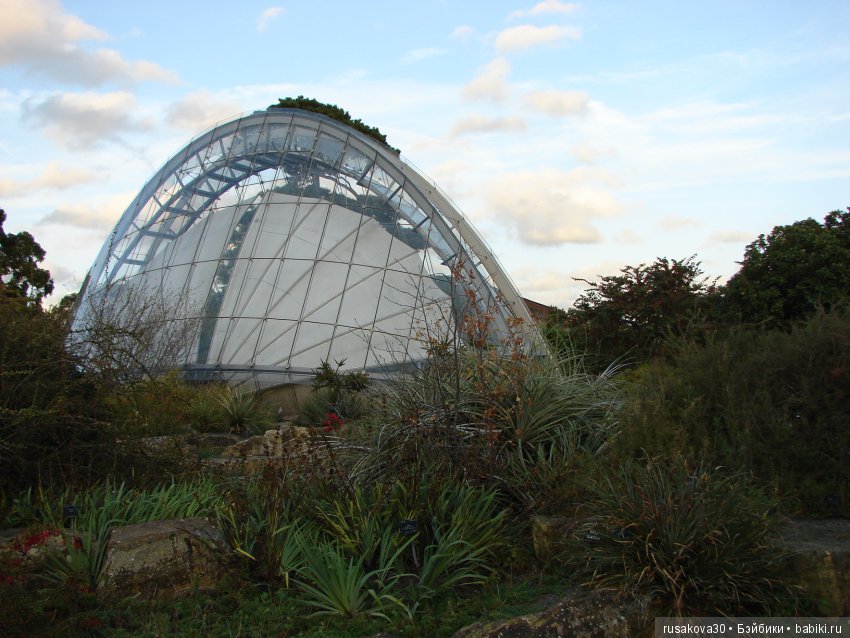 Королевские ботанические сады Кью (Kew Gardens) день второй