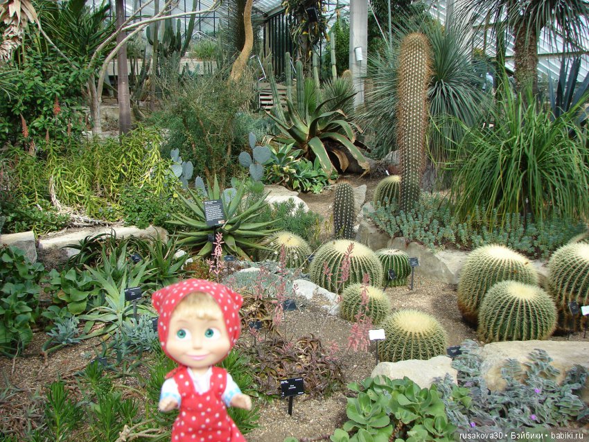 Королевские ботанические сады Кью (Kew Gardens)