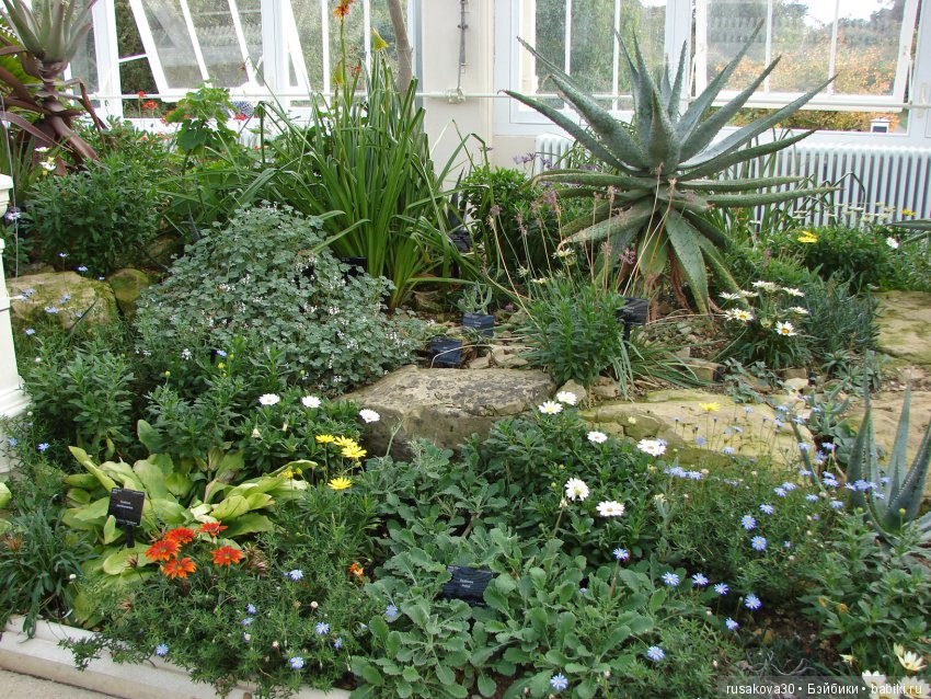 Королевские ботанические сады Кью (Kew Gardens)