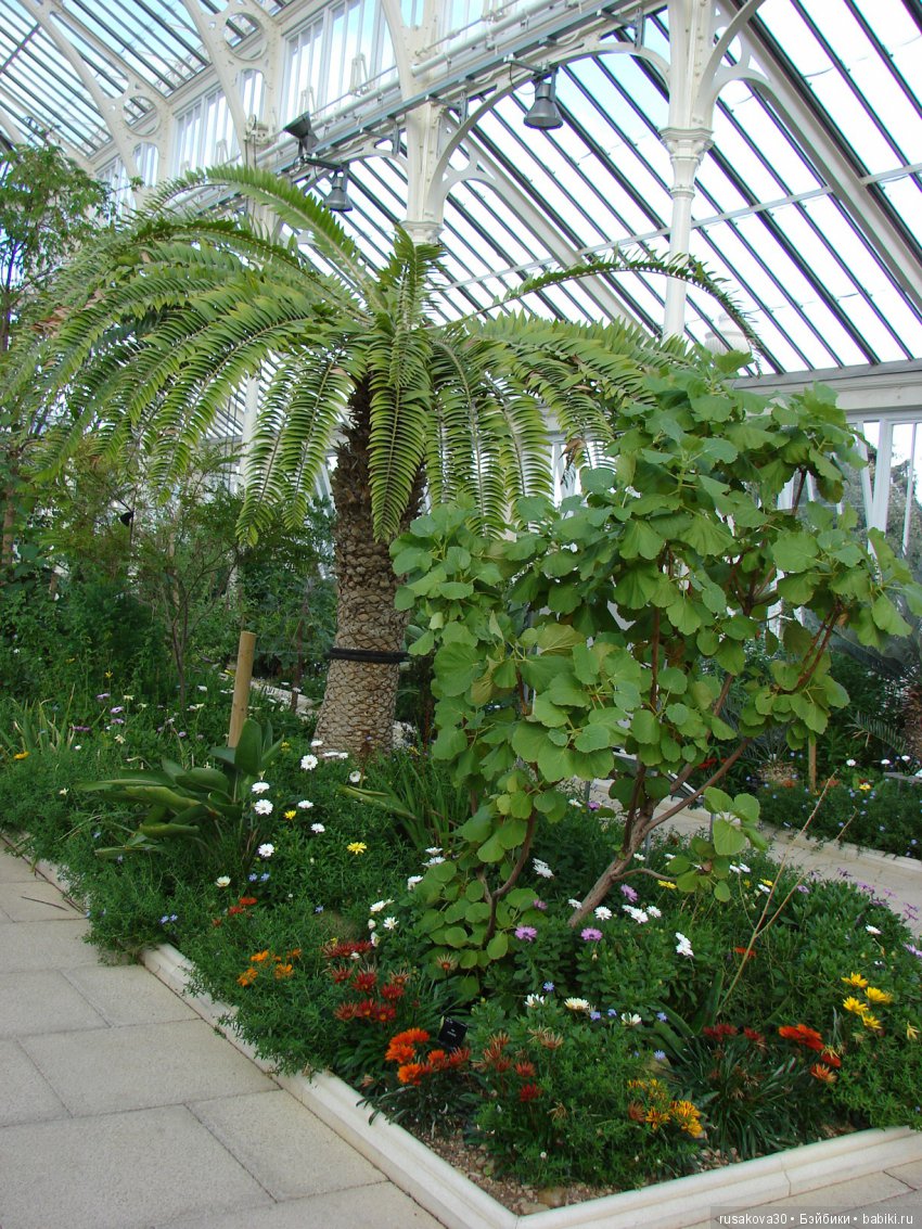 Королевские ботанические сады Кью (Kew Gardens)