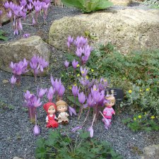 Королевские ботанические сады Кью (Kew Gardens) день второй