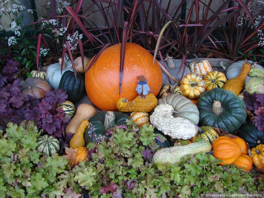 Просто Людвиг — Домашние фото авторских игрушек: Тедди