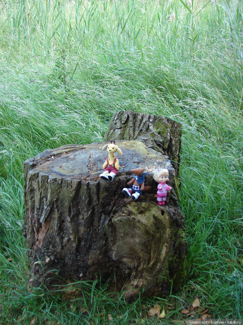 Просто Людвиг — Домашние фото авторских игрушек: Тедди