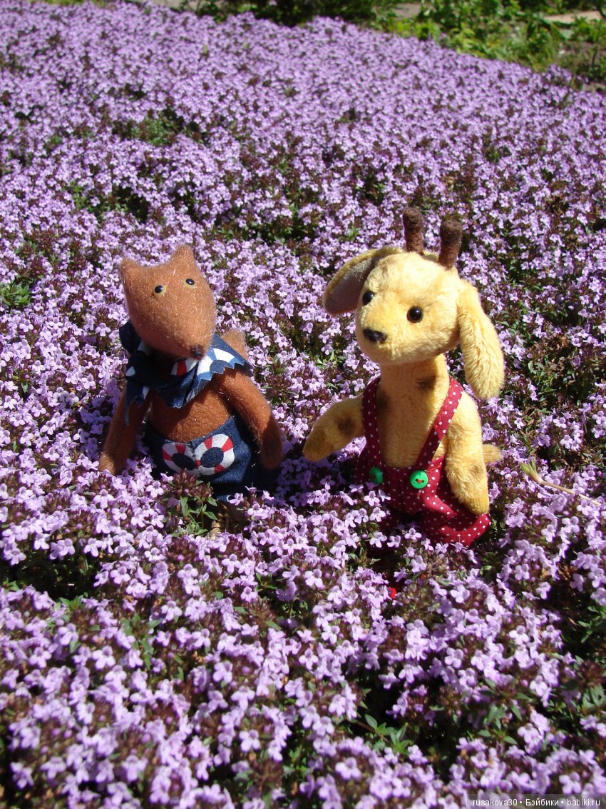 Просто Людвиг — Домашние фото авторских игрушек: Тедди