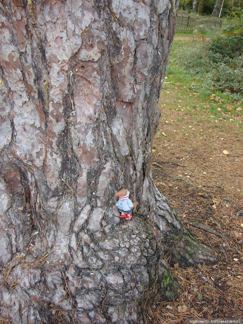 Соня и Аня знакомятся с Англией