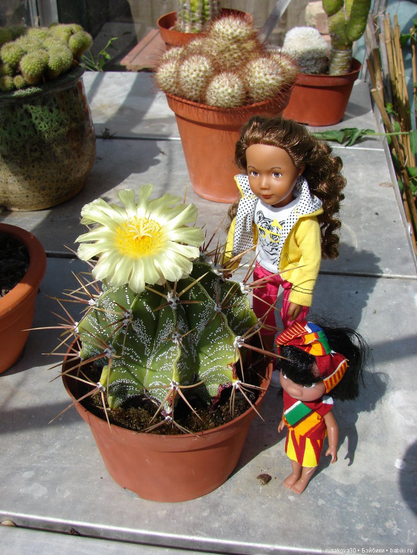 Как Джой друга нашла — Куклы Kathe Kruse (Кате/Кэте Крузе): фото