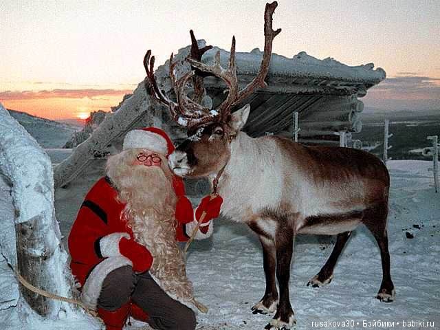 Куклы в рождественских нарядах (фото 4)