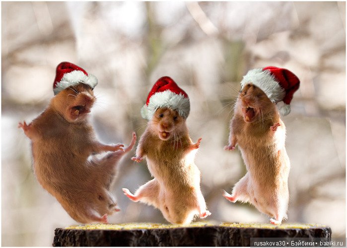 Куклы в рождественских нарядах