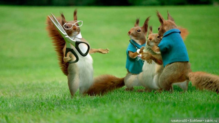 Зажигаем! Качается земля, Зажигаем! Танцуют облака (фото 4)