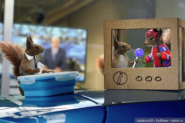 Зажигаем! Качается земля, Зажигаем! Танцуют облака (фото 5)