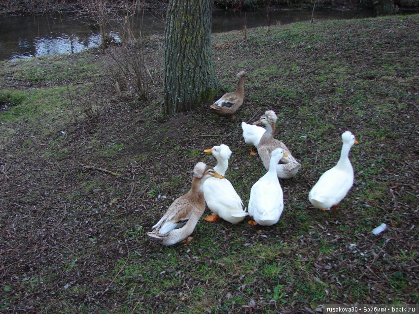 Старая, старая сказка — Куклы Marie Osmond (Мари Осмонд): серия Adora Belle