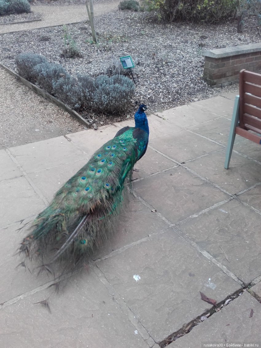 Старая, старая сказка — Куклы Marie Osmond (Мари Осмонд): серия Adora Belle