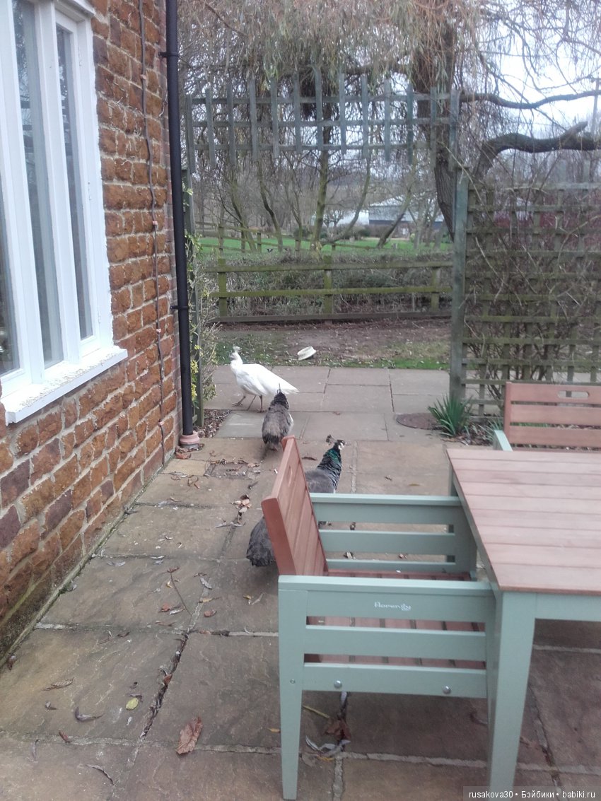 Старая, старая сказка — Куклы Marie Osmond (Мари Осмонд): серия Adora Belle