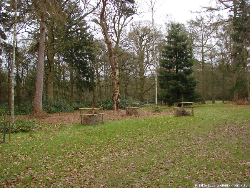 Куклы эльфы, волшебство в доме