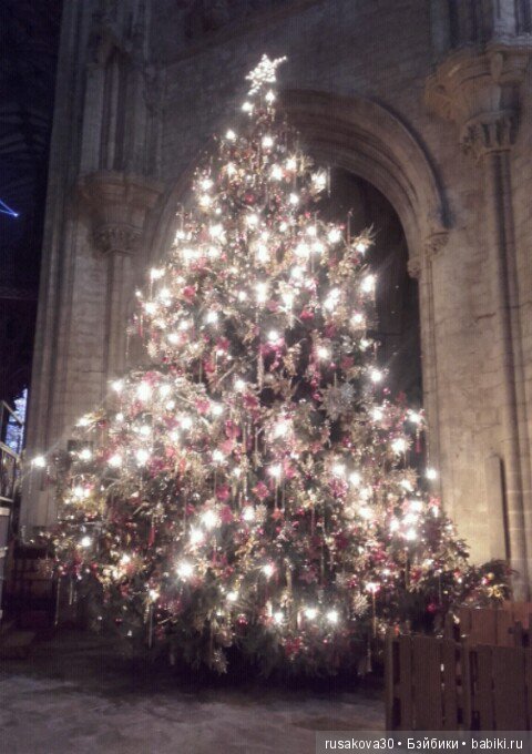 До свидания, елочка | Бэйбики До свидания, елочка — Интересные игрушки и фигурки (разное): редкие