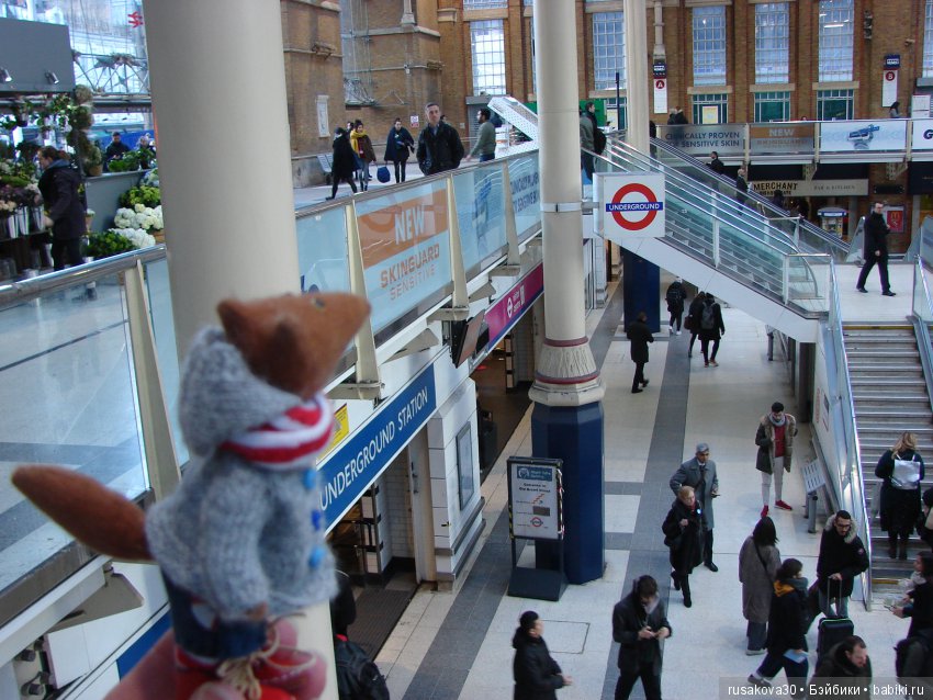 Людвиг, Ватсон и Миша в Лондоне (фото 9)