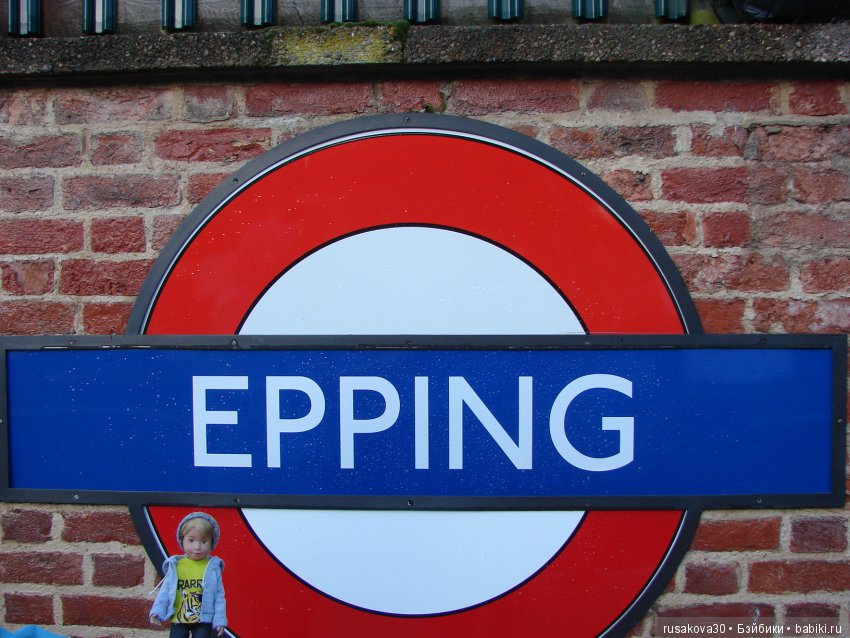 Людвиг, Ватсон и Миша в Лондоне (фото 4)