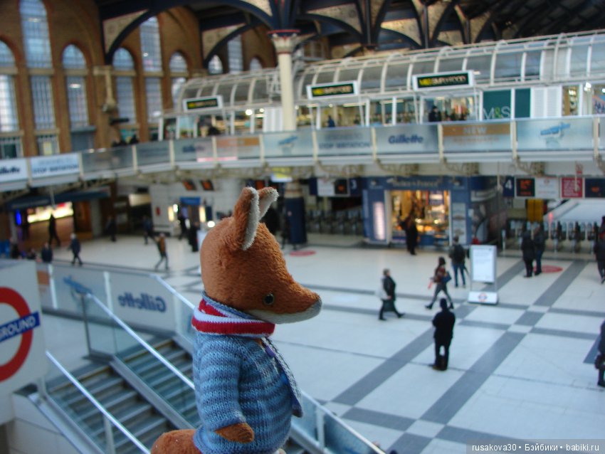 Людвиг, Ватсон и Миша в Лондоне (фото 8)