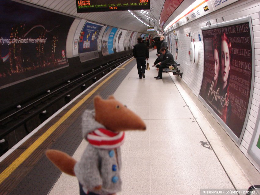 Людвиг, Ватсон и Миша в Лондоне (фото 7)