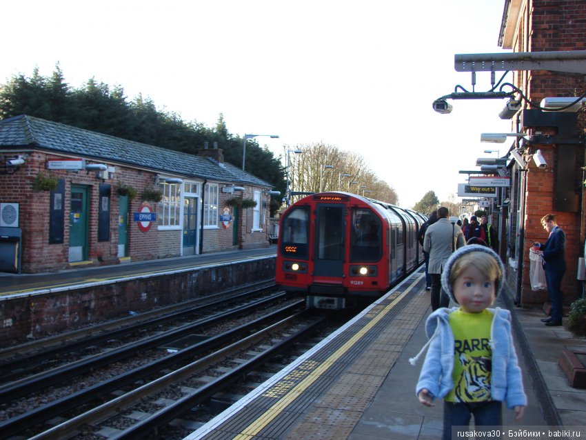 Людвиг, Ватсон и Миша в Лондоне (фото 3)