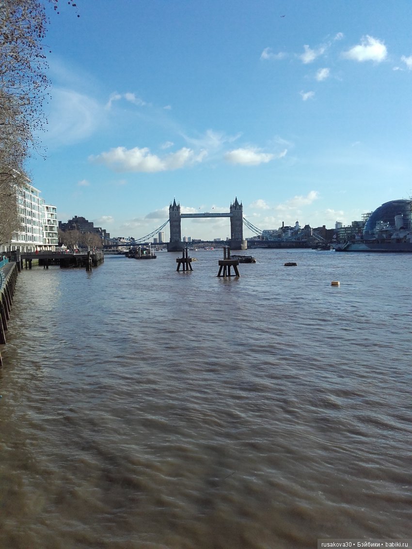 Людвиг, Ватсон и Миша в Лондоне