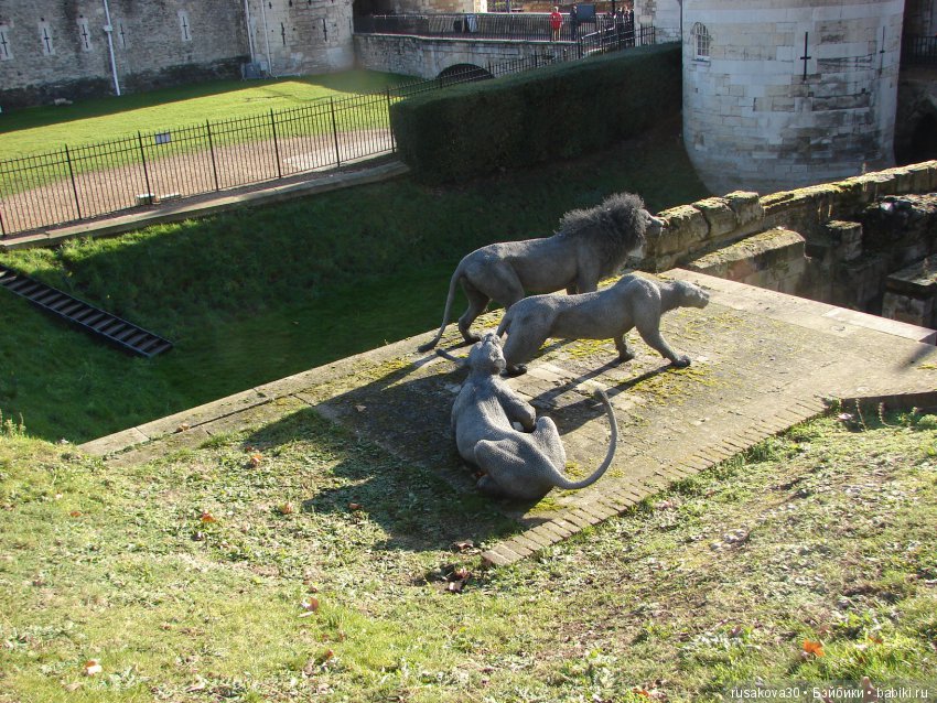 Людвиг, Ватсон и Миша в Лондоне
