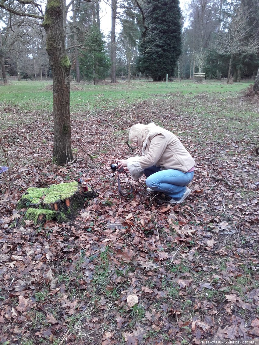 Кукольные папараццииии — Новости конкурсов: план на год