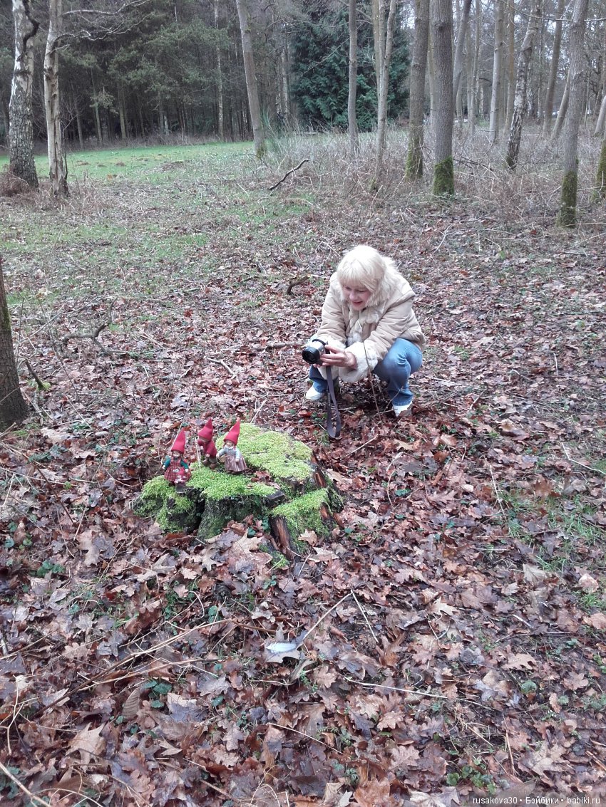 Кукольные папараццииии — Новости конкурсов: план на год